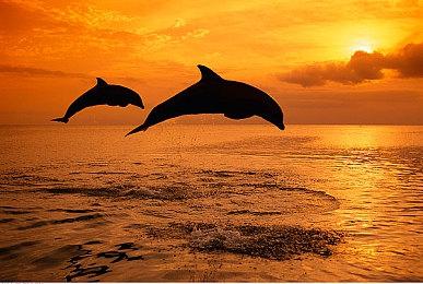 《最终幻想7重制版Intergrade》将登陆NS2 冬季同步Xbox上线！